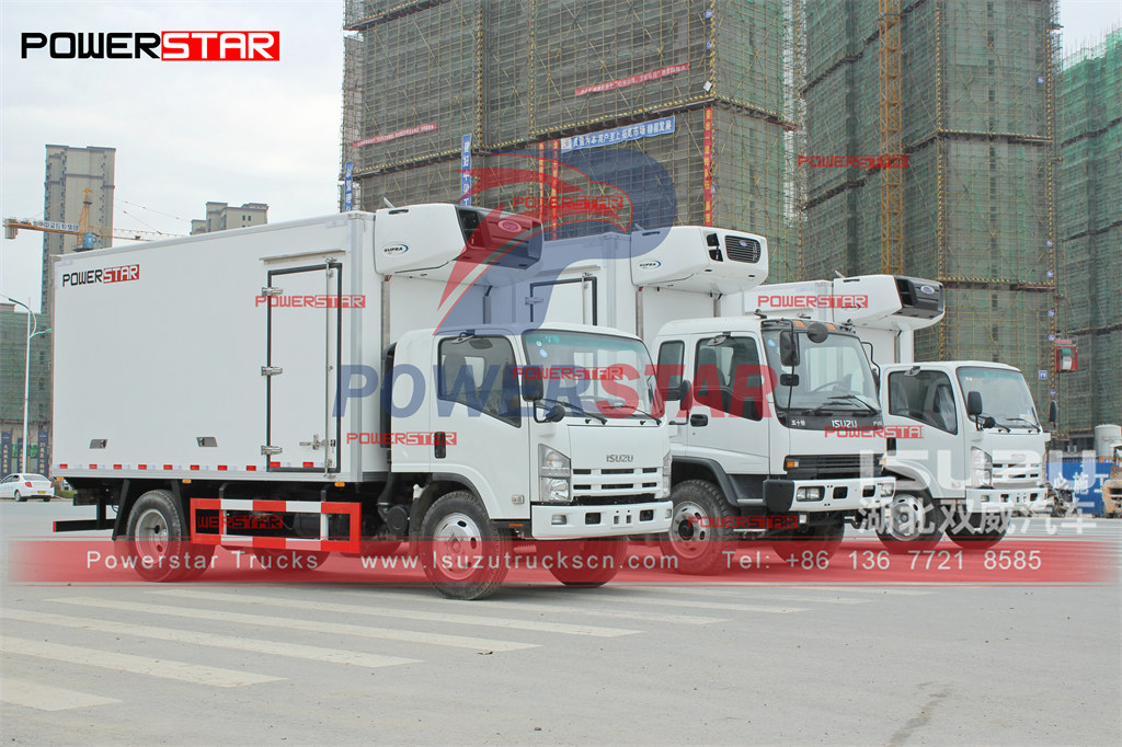 ISUZU ELF Freezer Truck mounted CARRIER Unit Manual export to Philippines