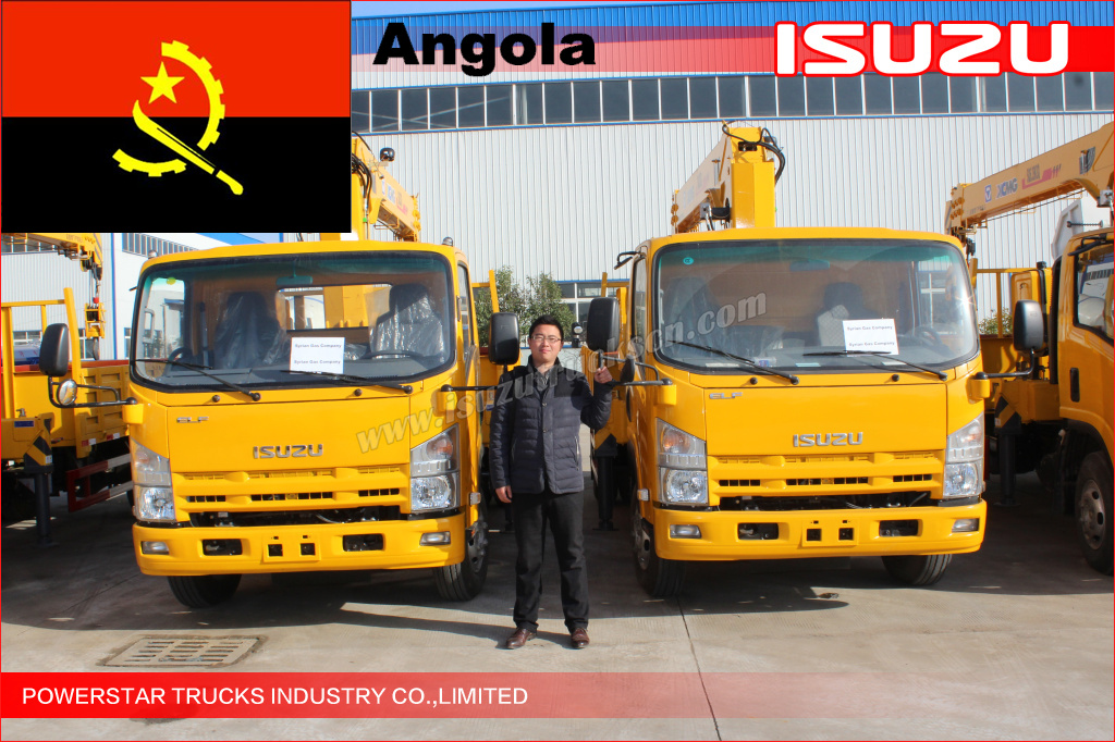 ELF crane truck Delivery to Angola