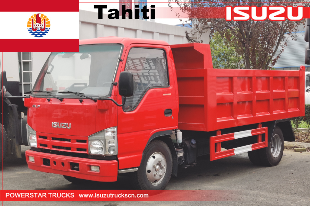 Tahiti - 1 unit ISUZU mini elf Dump Tipper Truck
