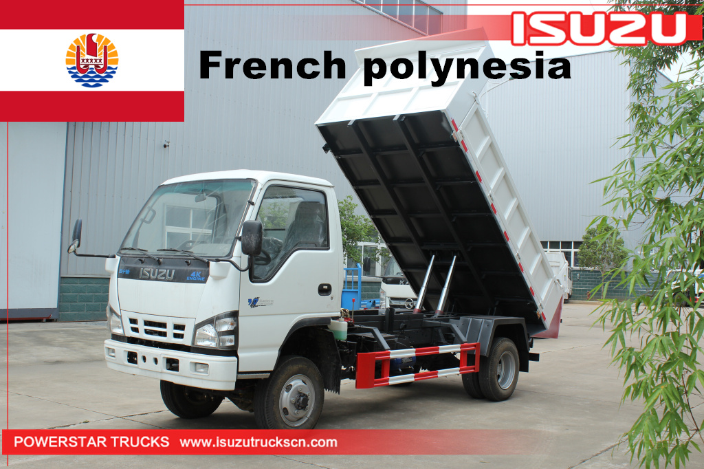 French polynesia ISUZU NKR 600P 4x2 4x4 full road MINI tipper Truck 3 tonne to 4 tonne 5 tonne 