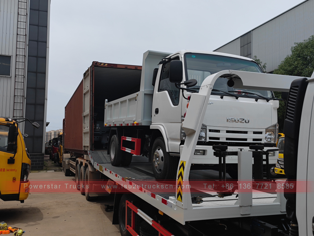 Philippines ISUZU 4X2 6 wheel dump truck 2T 3T 5T Tipper Mini Cargo Truck for Sale