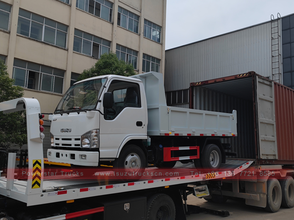 Philippines ISUZU 4X2 6 wheel dump truck 2T 3T 5T Tipper Mini Cargo Truck for Sale
