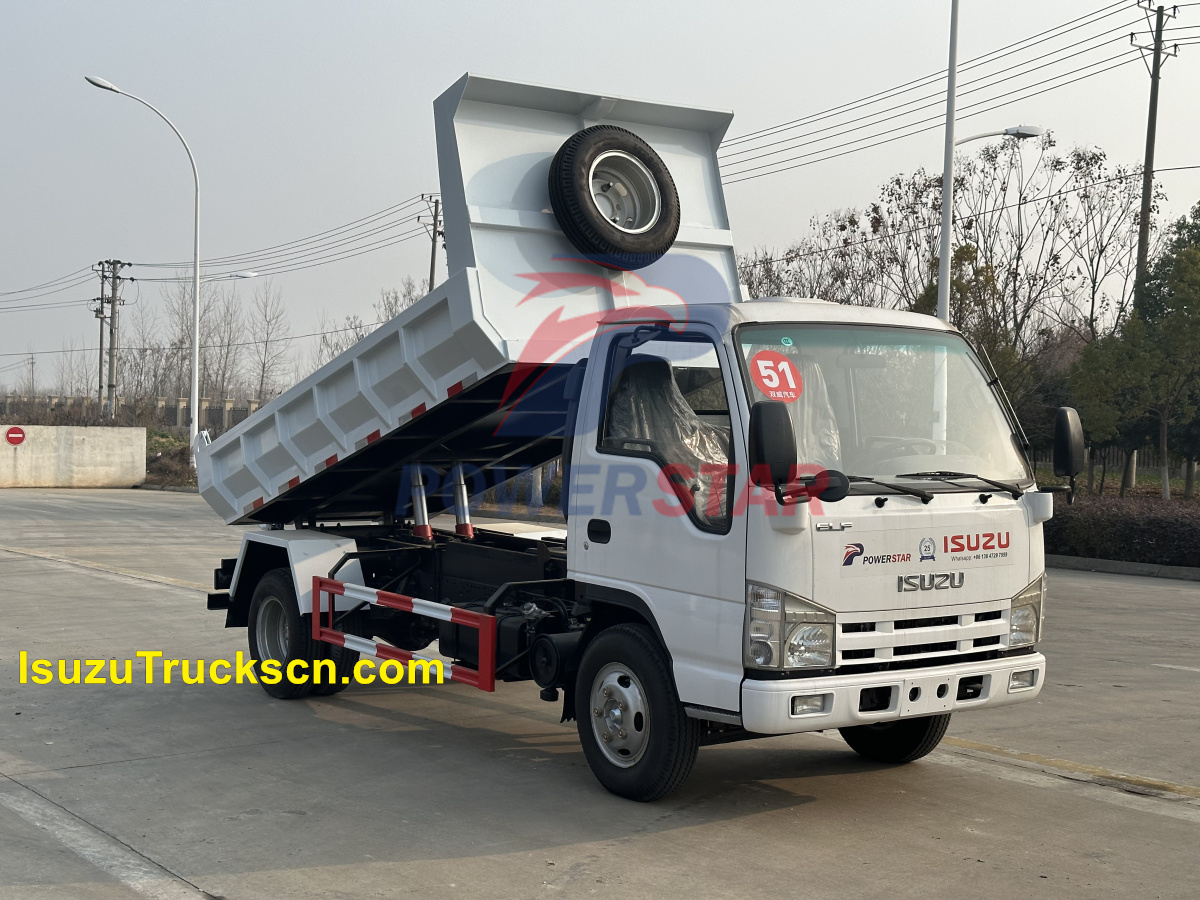 Japan ISUZU 100P/ELF Mini Cargo Truck Dumper Tipper vehicle For Sale