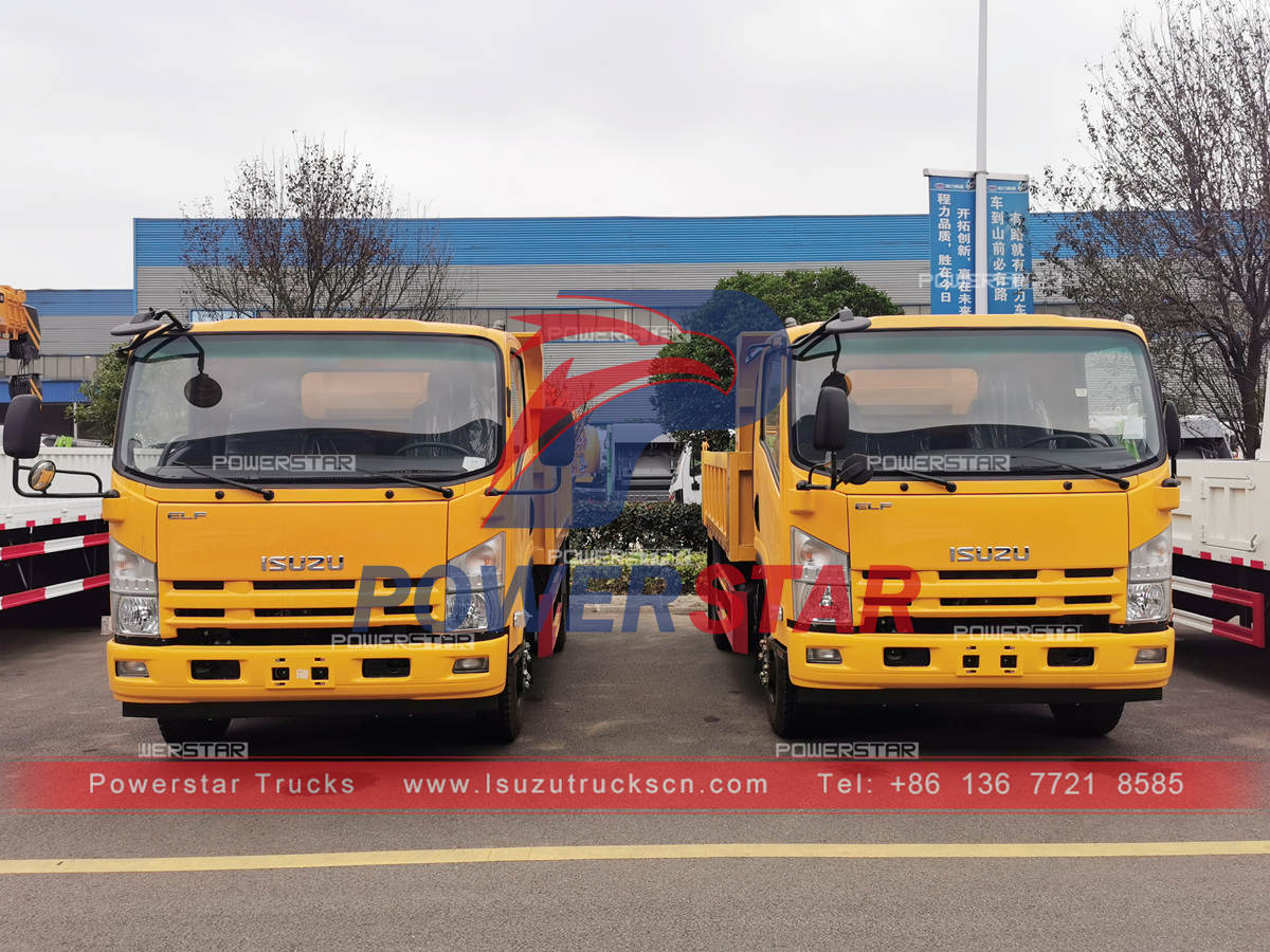 Customized ISUZU 5 tons tip-truck dumper at best price
