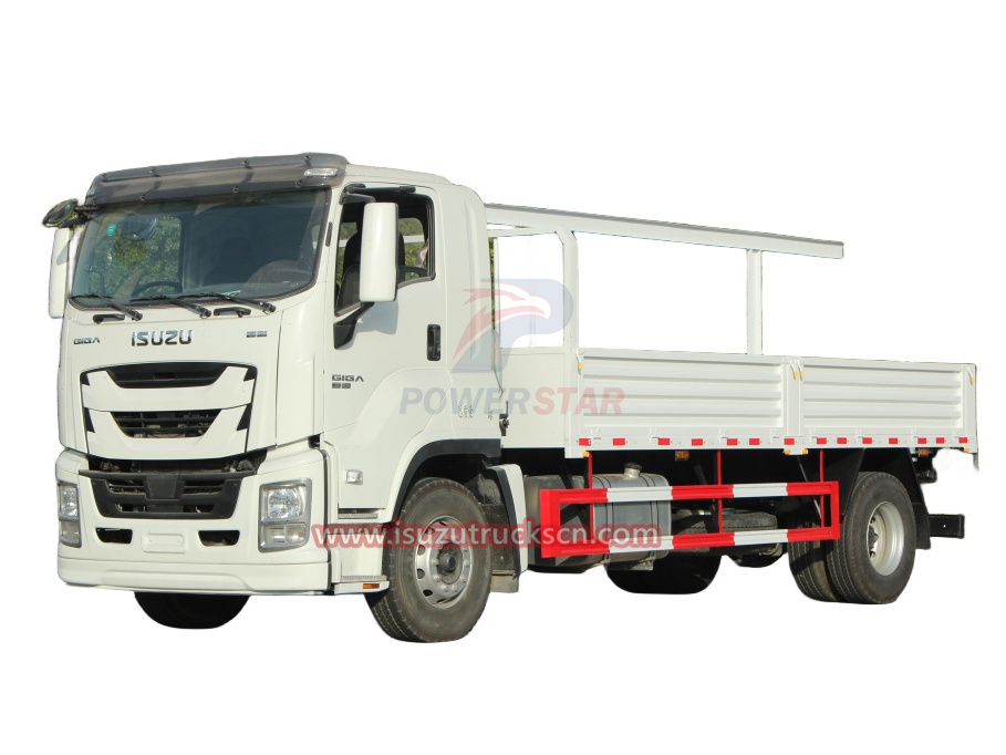 ISUZU Vans GIGA Cargo Dropside Lorry Trucks