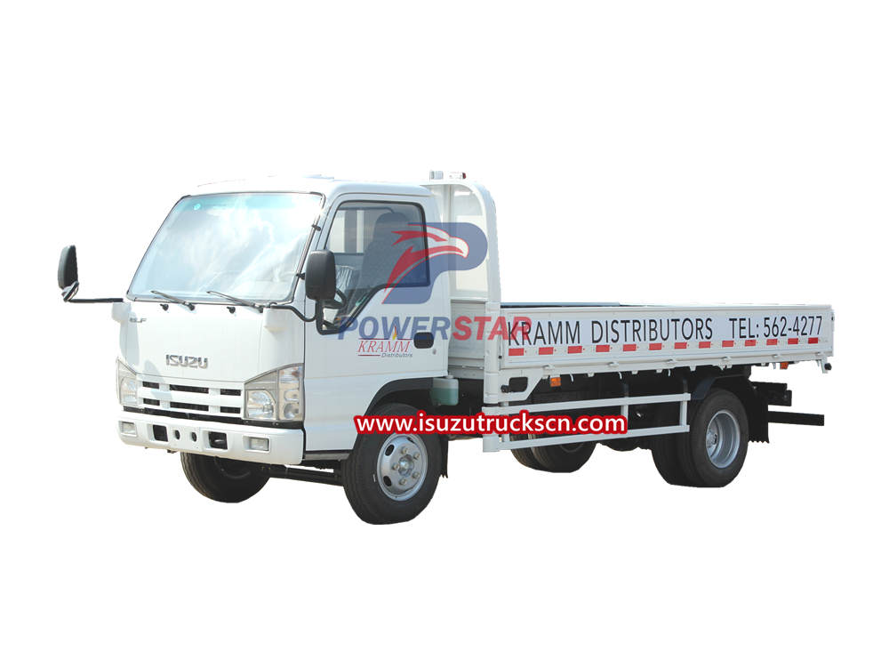New Isuzu ELF 100P Lorry Dropside Cargo Truck