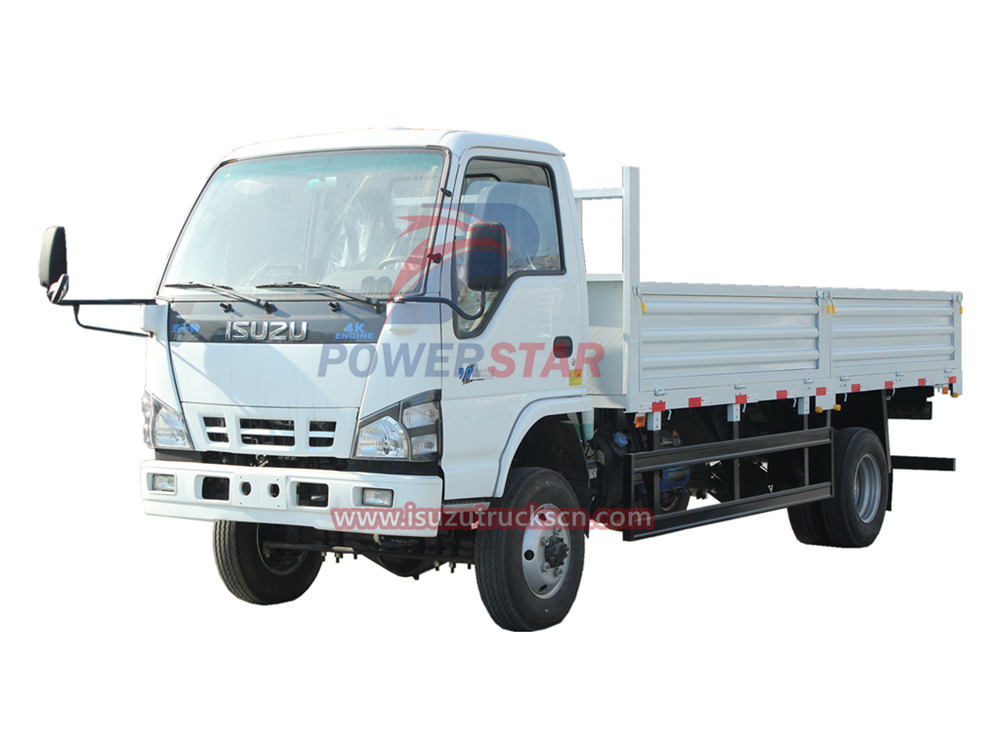 ISUZU NKR/600P 4WD Off road Dropside Cargo Lorry Van Trucks