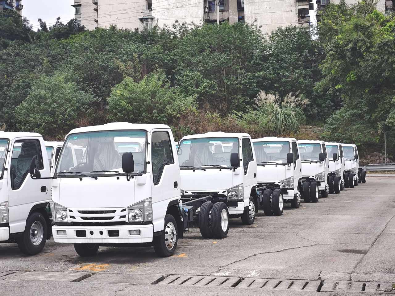 Japan Isuzu 100p elf Single Cabin Light Truck Chassis