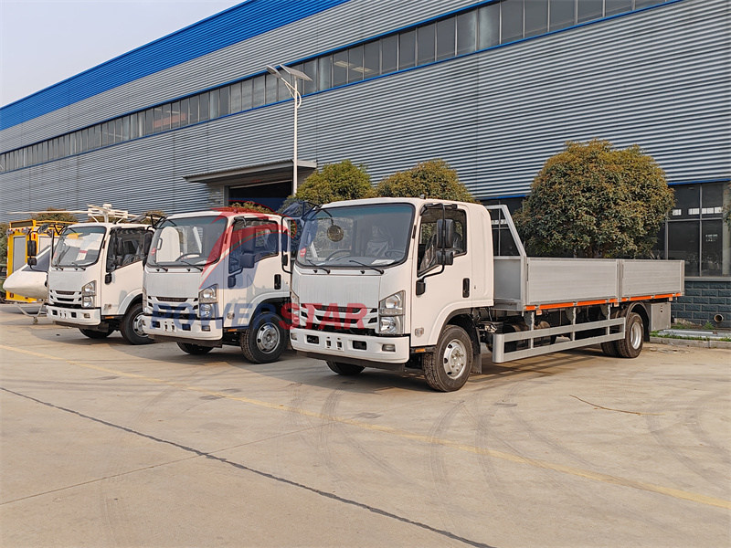 Isuzu NPR 700P cargo truck