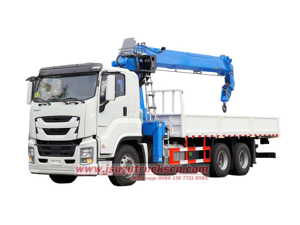 Isuzu 10T boom crane Truck
