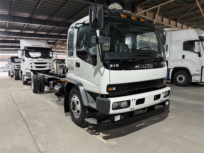 Isuzu FVR cargo truck chassis