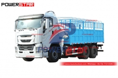 ISUZU GIGA cargo crane truck at discount price