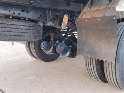 Isuzu light-duty 4x4 van truck