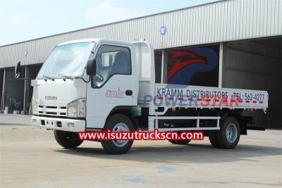 Isuzu 14ft Light cargo truck