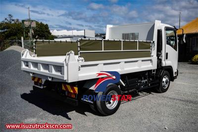 Philippine Isuzu 4x2 700P tipper truck