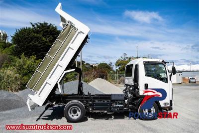 Philippine Isuzu 4x2 700P tipper truck