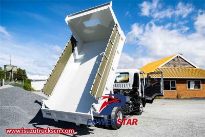 Philippine Isuzu 4x2 700P tipper truck