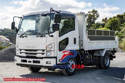 Philippine Isuzu 4x2 700P tipper truck
