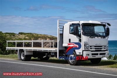 Philippine Isuzu ELF 8 T drop side cargo truck