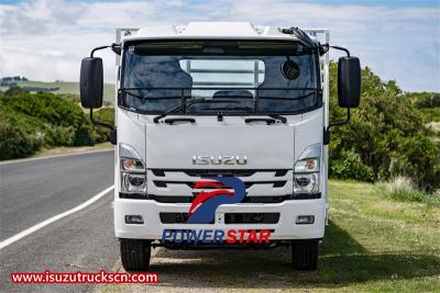 Philippine Isuzu ELF 8 T drop side cargo truck