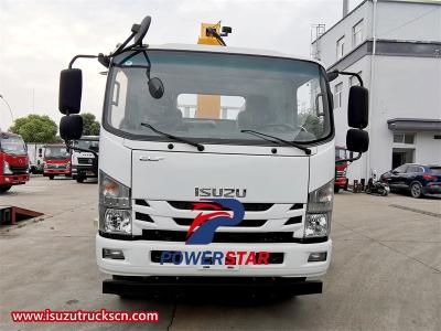 Philippine Isuzu ELF 4 ton lorry crane truck