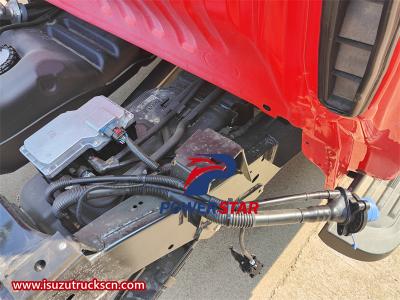 Philippine Isuzu 4x4 pick up truck