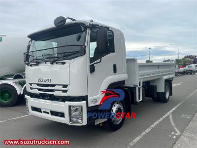 Philippine Isuzu NPR city logistic cargo truck