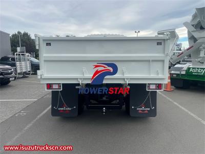 Philippine Isuzu NPR city logistic cargo truck