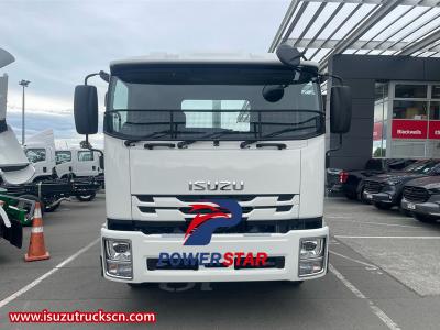 Philippine Isuzu NPR city logistic cargo truck