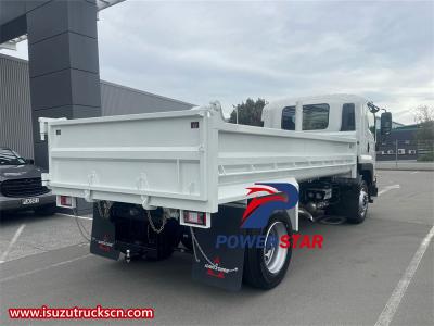 Philippine Isuzu NPR city logistic cargo truck