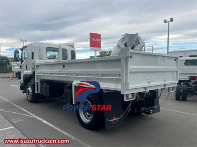 Philippine Isuzu NPR city logistic cargo truck