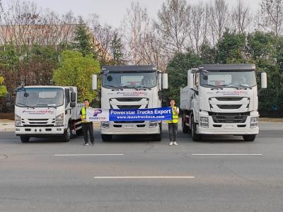Isuzu 700P 6 tons dump truck
