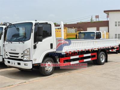 Isuzu 700P ELF dropside cargo truck body for sale