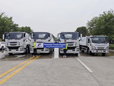 ISUZU GIGA 10000L Water Bowser Tanker Truck