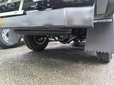 Isuzu 100P double row cargo truck